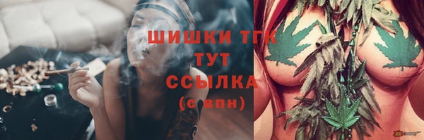 стаф Горнозаводск