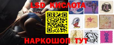 стафф Волгодонск