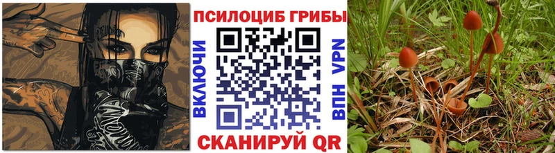 кракен ONION  Железногорск  Псилоцибиновые грибы прущие грибы 