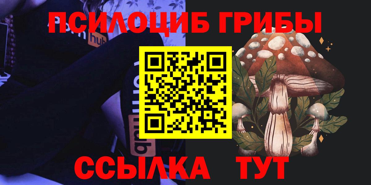 Железногорск  Галлюциногенные грибы мухоморы  Галлюциногенные грибы Psilocybe  Вход с VPN 